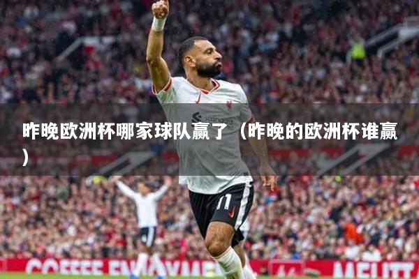 昨晚欧洲杯哪家球队赢了（昨晚的欧洲杯谁赢）