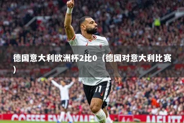 德国意大利欧洲杯2比0（德国对意大利比赛）