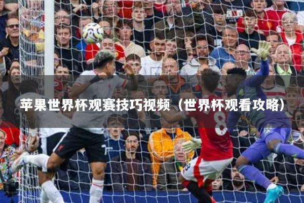 苹果世界杯观赛技巧视频(世界杯观看攻略)