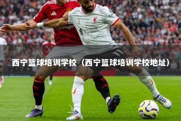 西宁篮球培训学校（西宁篮球培训学校地址）