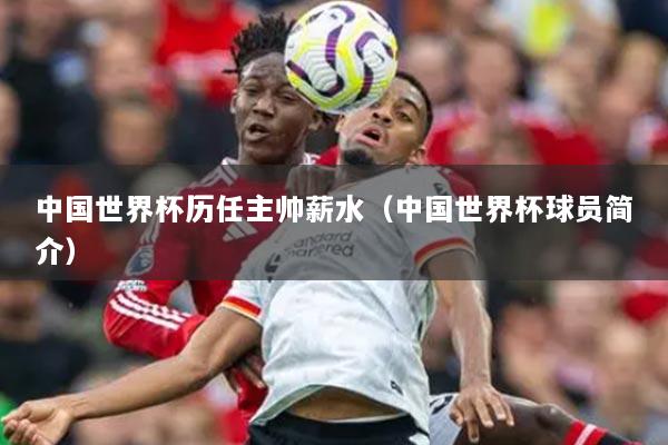 中国世界杯历任主帅薪水（中国世界杯球员简介）