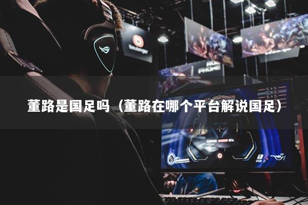 董路是国足吗（董路在哪个平台解说国足）