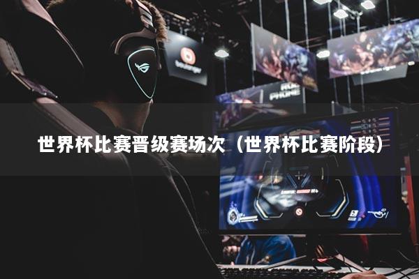 世界杯比赛晋级赛场次(世界杯比赛阶段)