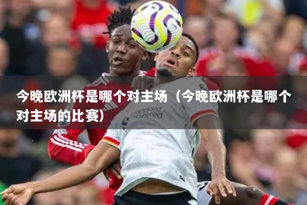 今晚欧洲杯是哪个对主场(今晚欧洲杯是哪个对主场的比赛)
