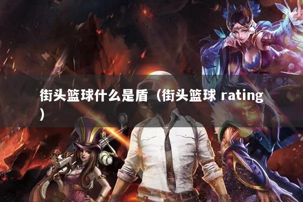街头篮球什么是盾（街头篮球 rating）