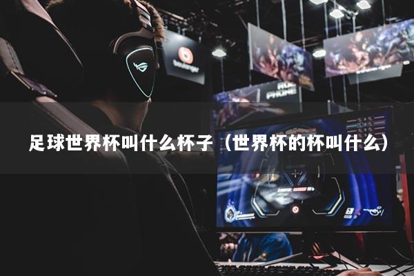 足球世界杯叫什么杯子(世界杯的杯叫什么)