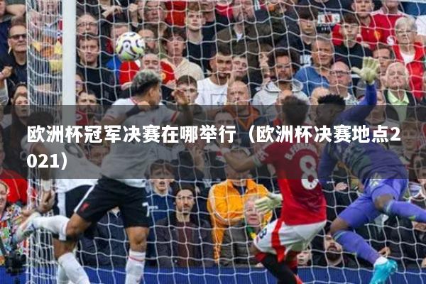 欧洲杯冠军决赛在哪举行（欧洲杯决赛地点2021）