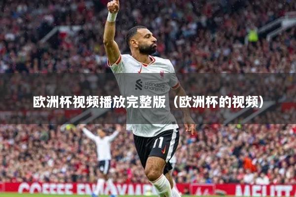 欧洲杯视频播放完整版（欧洲杯的视频）