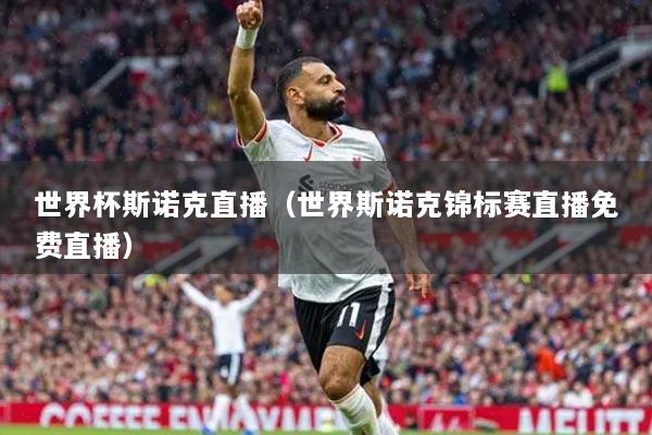 世界杯斯诺克直播（世界斯诺克锦标赛直播免费直播）