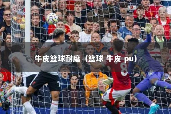 牛皮篮球耐磨（篮球 牛皮 pu）